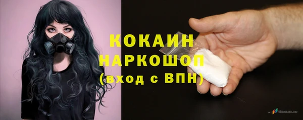 эйфоретик Баксан