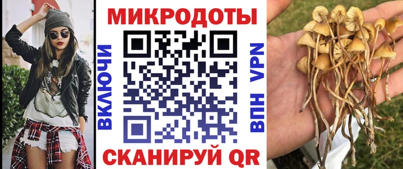 Галлюциногенные грибы GOLDEN TEACHER  Котельниково 