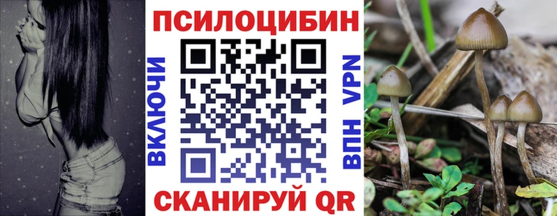 Псилоцибиновые грибы MAGIC MUSHROOMS Котельниково